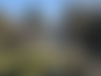 Ausblick auf Hotel mit Pool