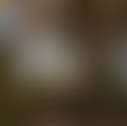 park in Herbststimmung