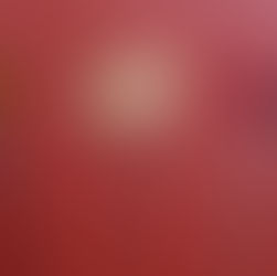 Fondue Spießer im Strandhotel Zingst