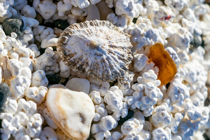 Coworking am Popcorn-Beach auf Fuerteventura