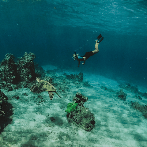 grace-bay-adventures-underwater-tour.png