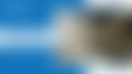 Understanding Arc Flash Hazards