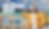 Turks and Caicos currency guide 2026 — traveler with US dollars and passport on Grace Bay beach