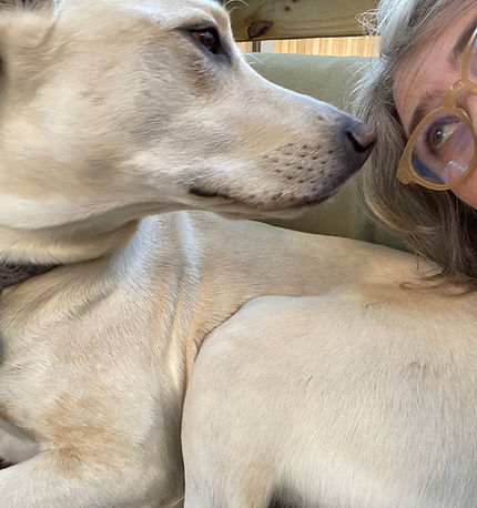 A white dog lying down looks to her right wherea woman with glasses looks back at her. 
