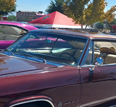 Startup Legal Requirements Albuquerque NM – Compliance Help