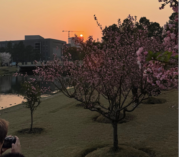 Il Jiading Campus della Tongji University