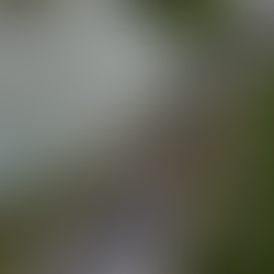 Incentivo Parco Agrisolare