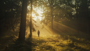 Person standing quietly in a natural landscape at dawn, surrounded by soft light, reflecting a calm moment of awareness and personal insight.