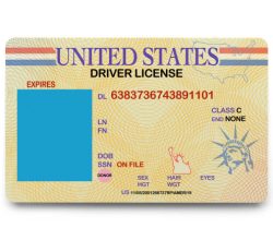 National ID Driver License with Copy Space Isolated on a White Background.
