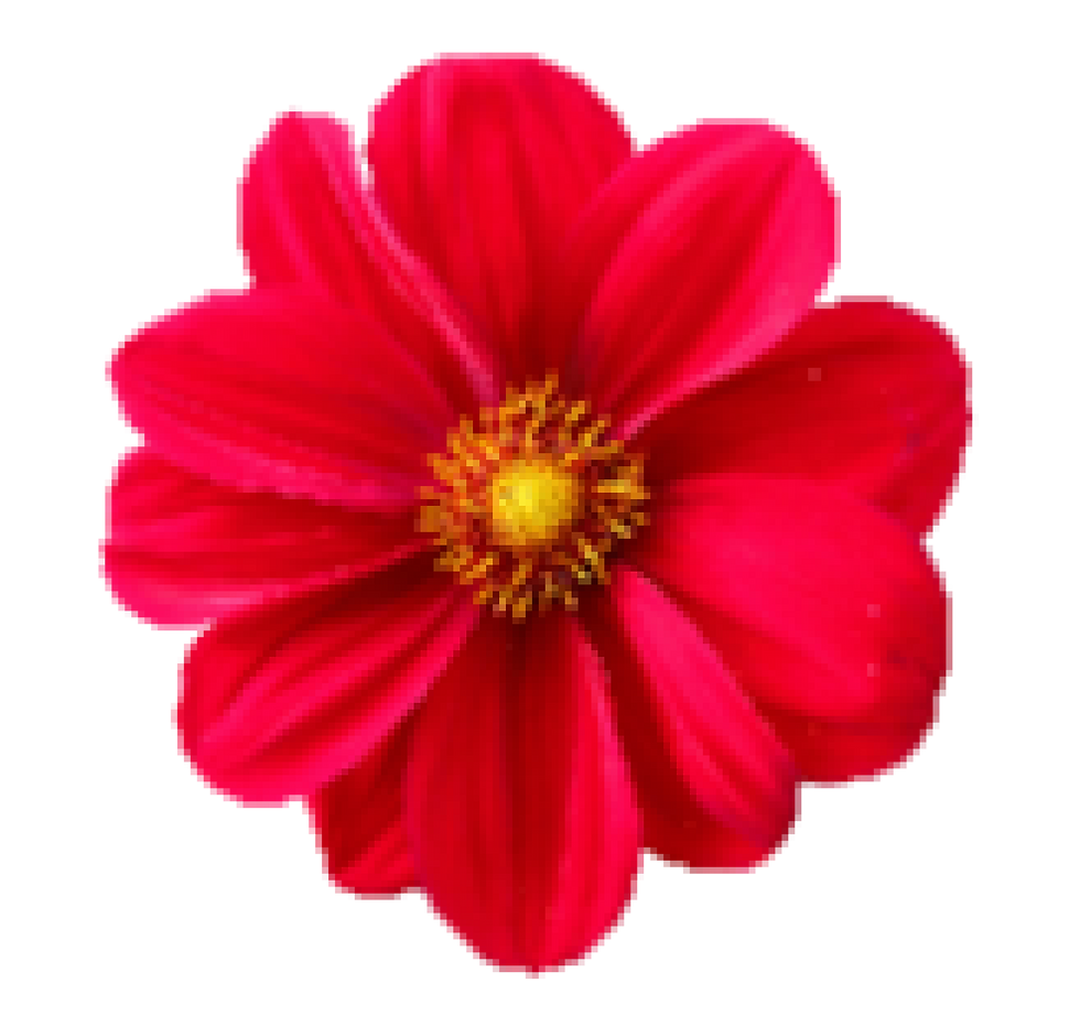 pixelflower