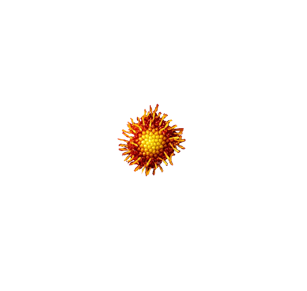 pf10