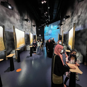The anomaly of the visitor center market