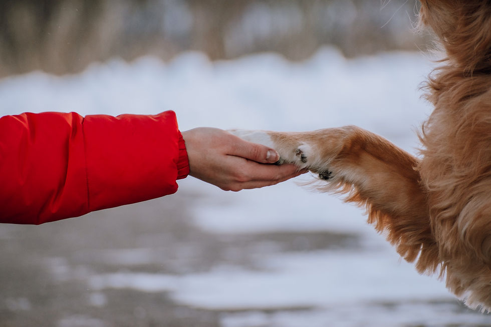 Understanding Cancellation Fees: What You Need to Know