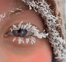 205192.gif