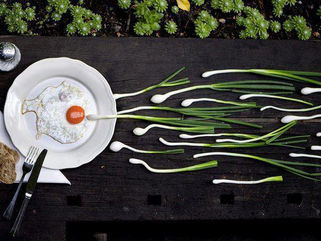 Contracepção feminina