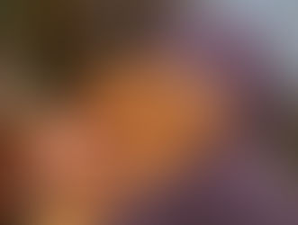 Köpeklerde Leishmania