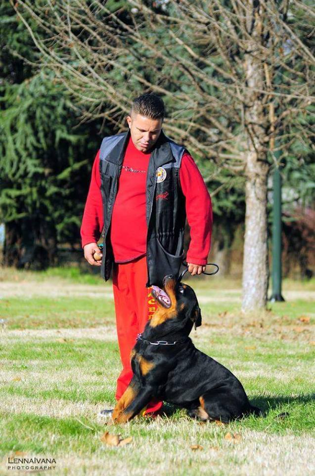 hunter ritter von camelot haus of nikomedia 47