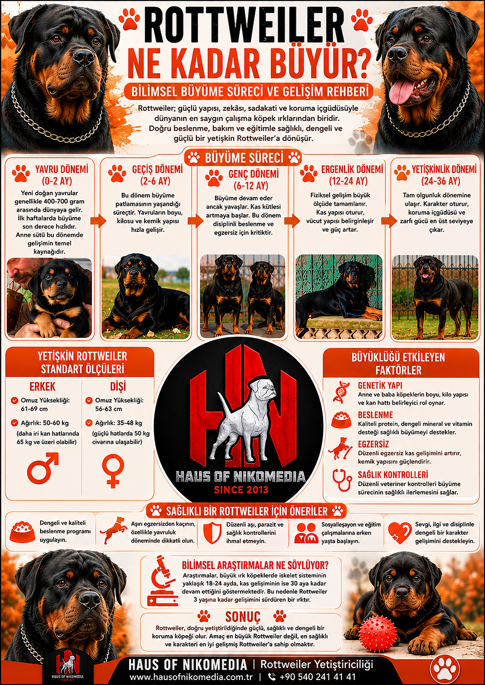 Rottweiler Ne Kadar Büyür?