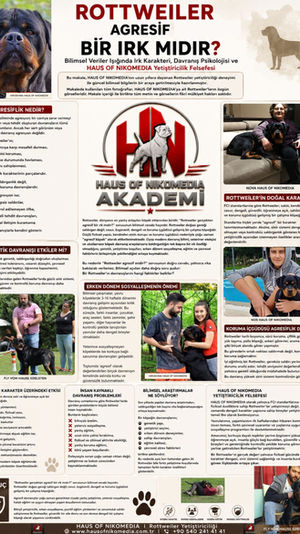 Rottweiler Agresif Bir Irk mıdır?