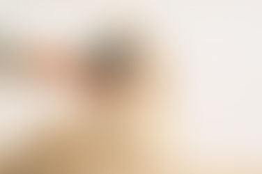 Köpeklerde Dişler, Diş Yapısı ve Bakımı