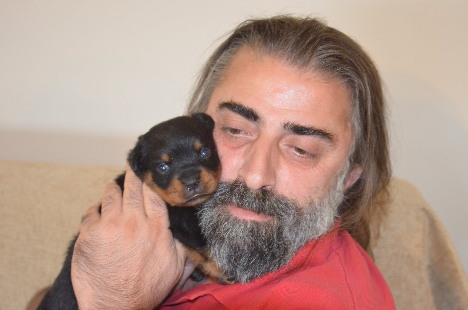 HAUS OF NIKOMEDIA P LITTER (23)