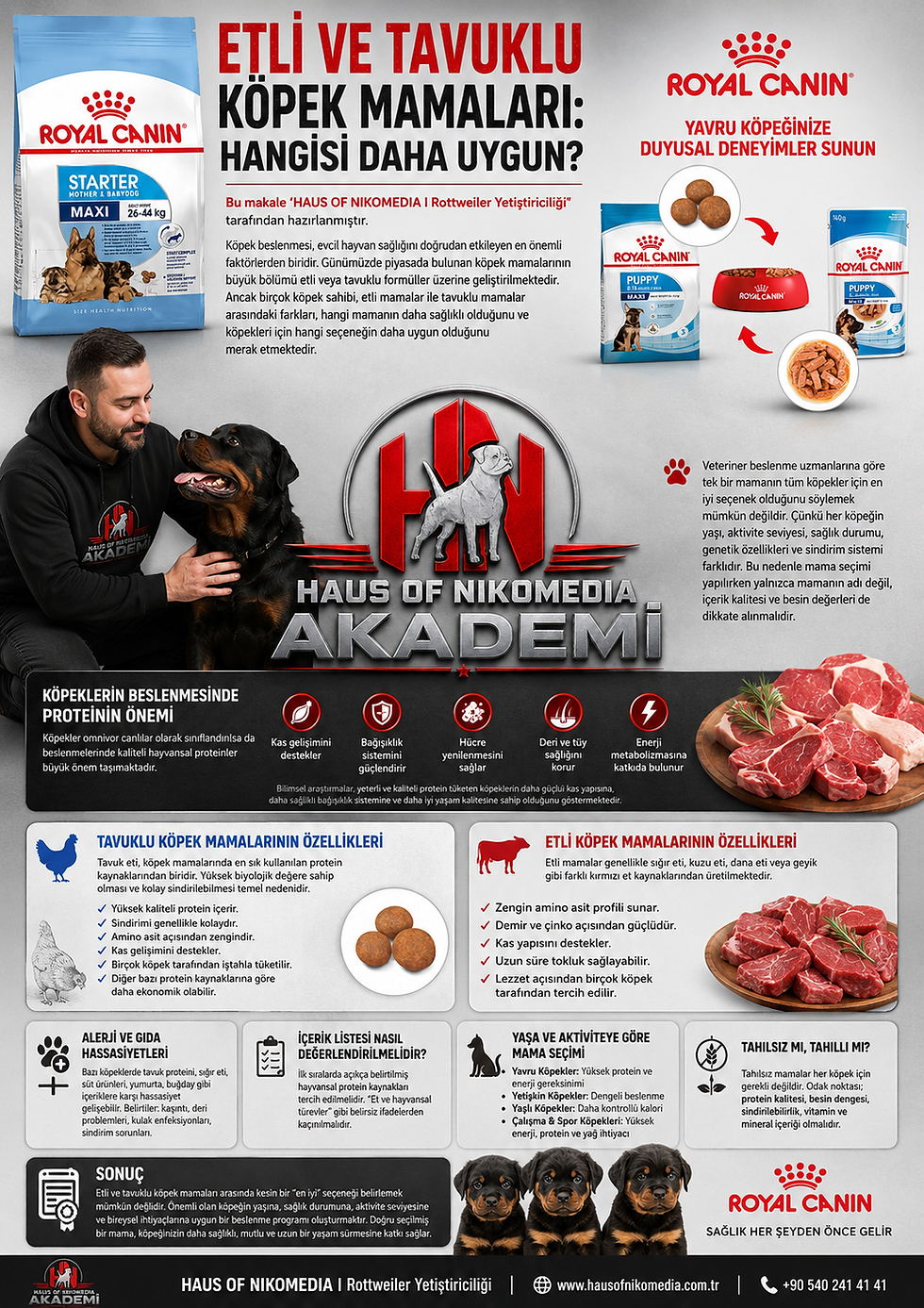 Etli ve Tavuklu Köpek Mamaları 