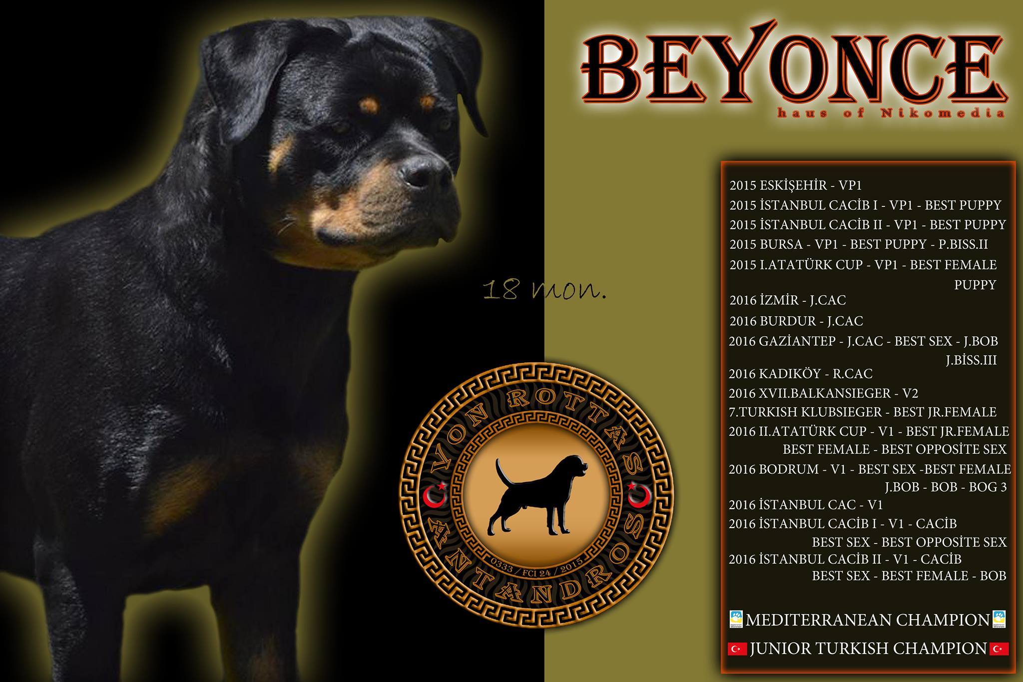 BEYONCE HAUS OF NIKOMEDIA (1)