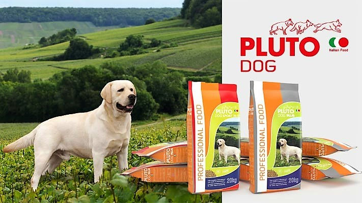 Küçük resim: Cennamo Pluto Dog Plus Sığır Etli Yetişkin Köpek Maması 20kg