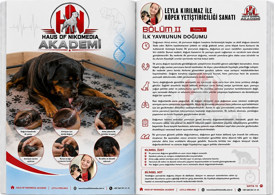 LEYLA KIRILMAZ İLE KÖPEK YETİŞTİRİCİLİĞİ SANATI HAUS OF NIKOMEDIA AKDEMİ (11).jpg