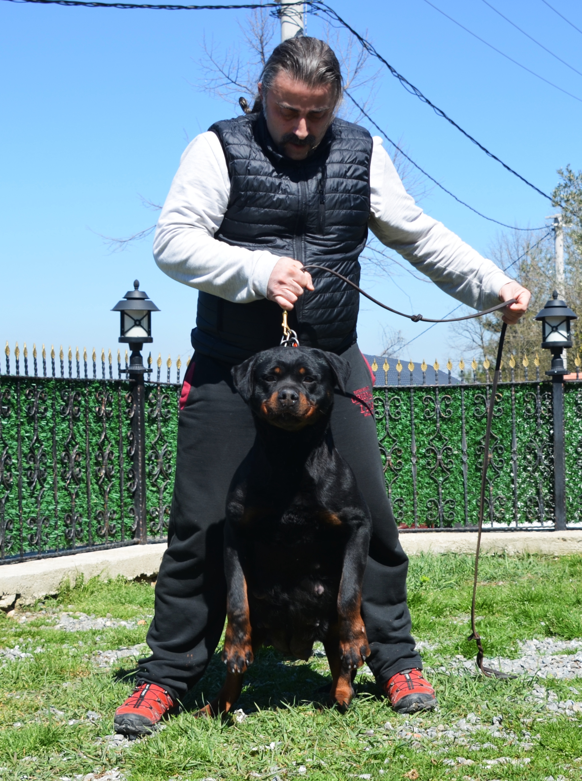 CAPRICE HAUS OF NIKOMEDIA 2 (8)