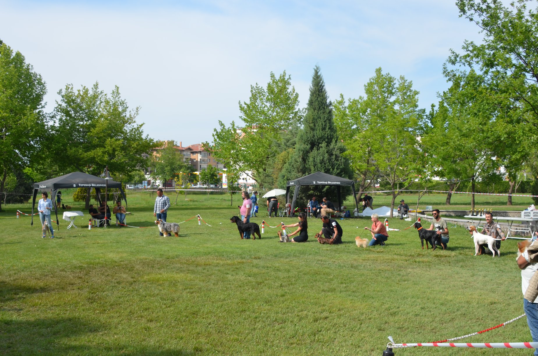 HIROSHIMA HAUS OF NIKOMEDIA ESKISEHIR 1 (5)