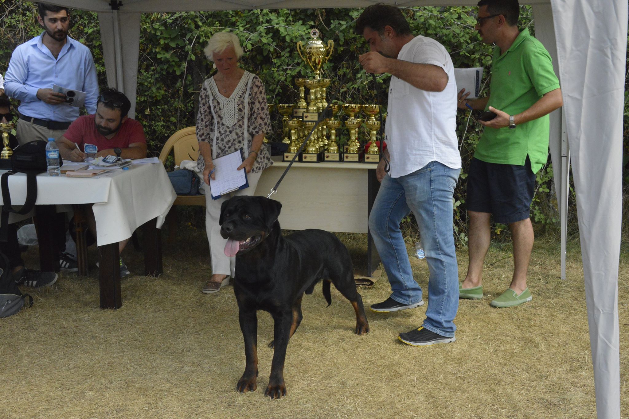 ceza haus of nikomedia (1)