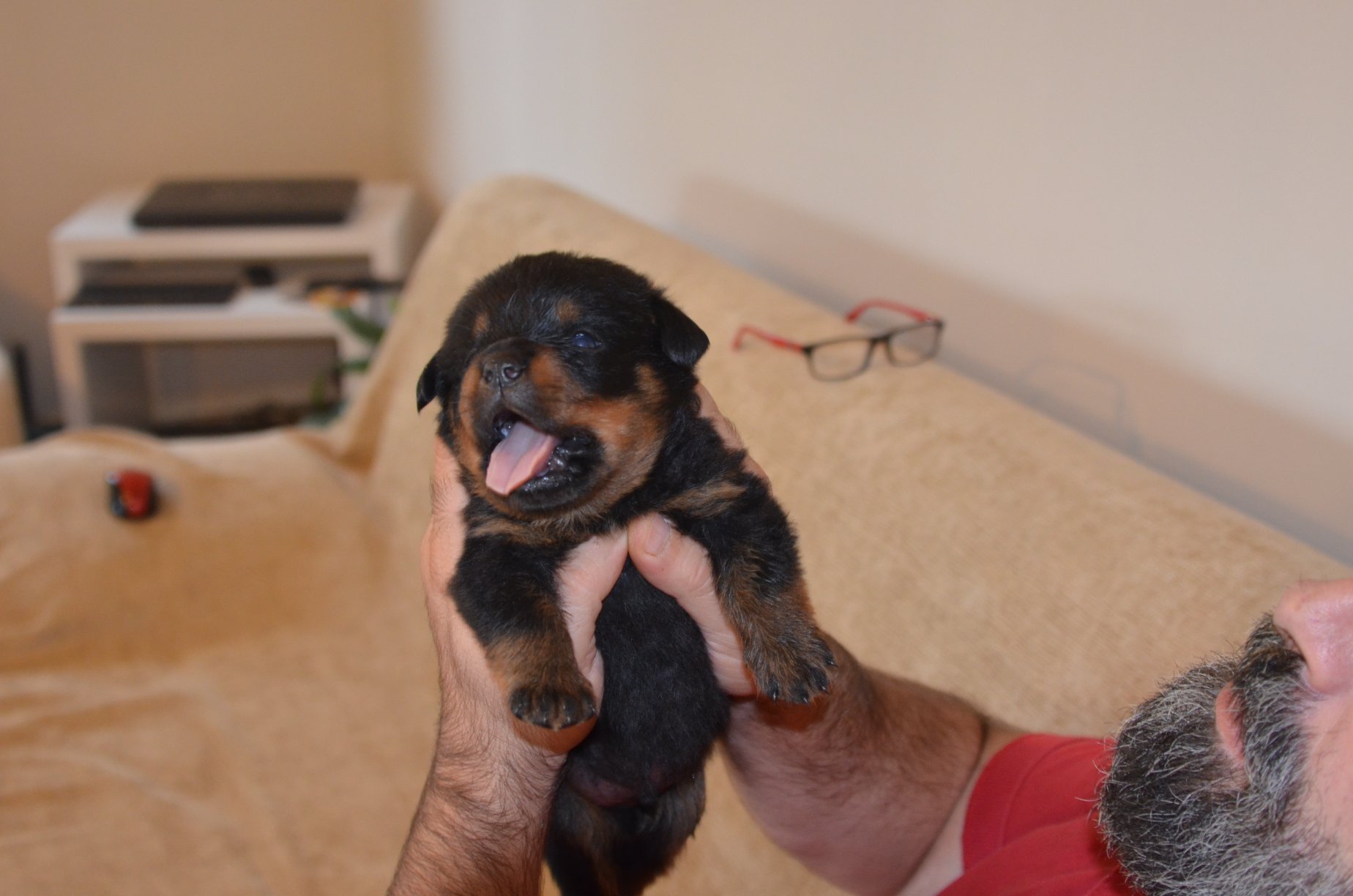 HAUS OF NIKOMEDIA P LITTER (17)