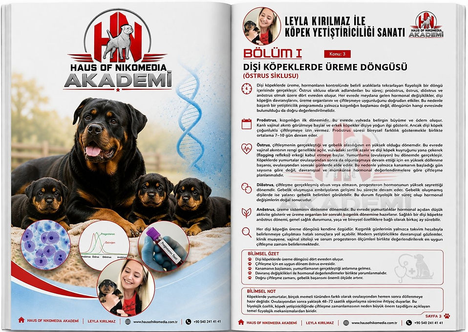 LEYLA KIRILMAZ İLE KÖPEK YETİŞTİRİCİLİĞİ SANATI HAUS OF NIKOMEDIA AKDEMİ (4).jpg