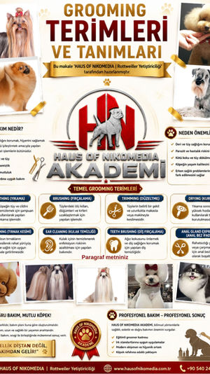 Grooming Terimleri ve Tanımları