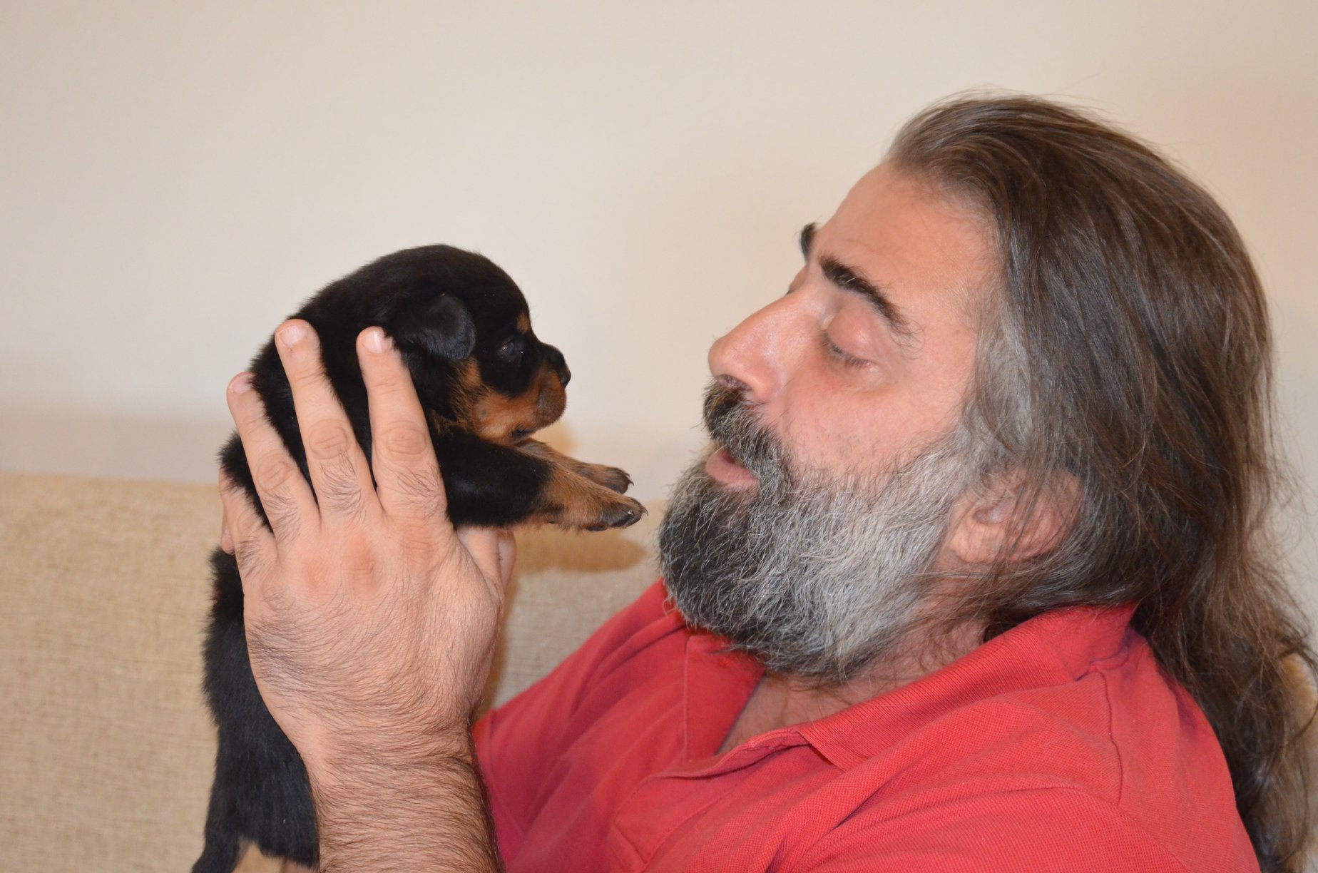 HAUS OF NIKOMEDIA P LITTER (19)