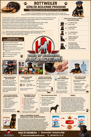 Rottweiler Günlük Beslenme Programı 