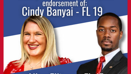 Cindy Banyai and Allen Ellison Endorse Each Other for Office