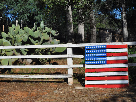 Ashley Arnold of Arnold Acres Homestead