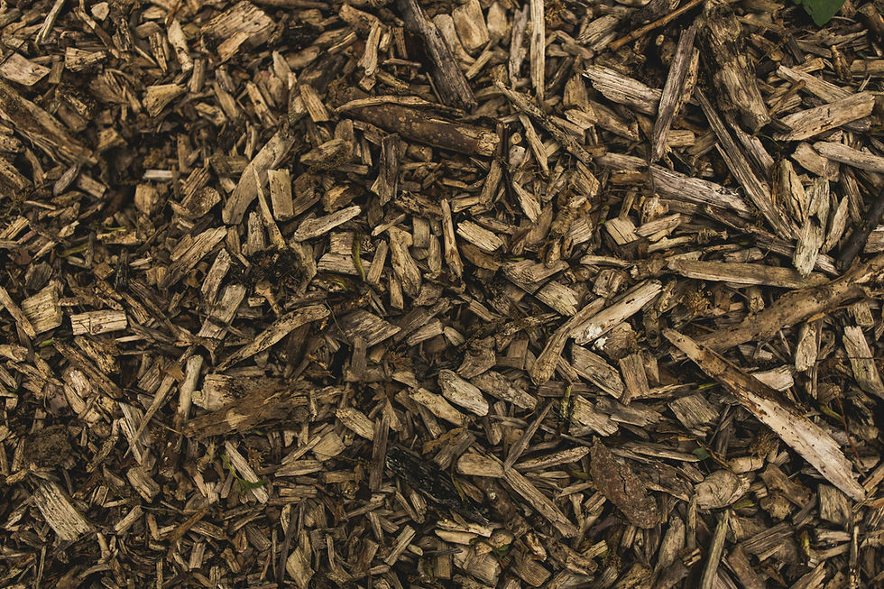 Mulch Ado About Nothin'