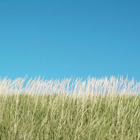 Clearing Paths to Minimalism