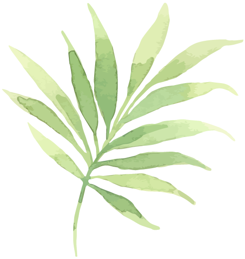 Les feuilles tropicales 2