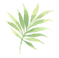 Tropical Leaves 2