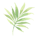 Tropical Leaves 2