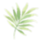 Tropical Leaves 2