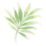 Les feuilles tropicales 2