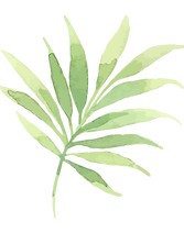 Les feuilles tropicales 2