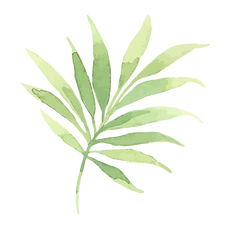 Tropische Blätter 2