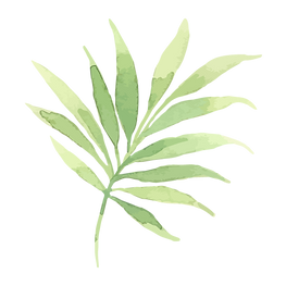 Tropical Leaf