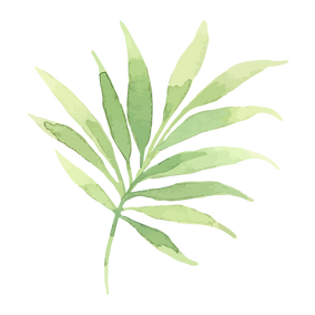 Les feuilles tropicales 2